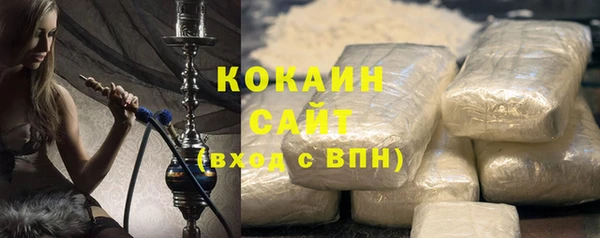 ГАЛЛЮЦИНОГЕННЫЕ ГРИБЫ Инта