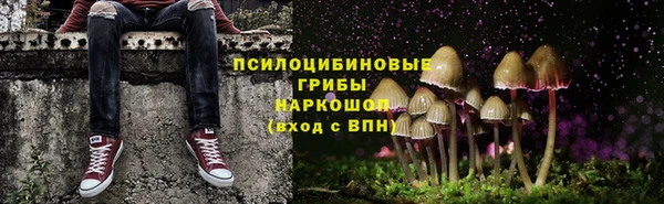 ГАЛЛЮЦИНОГЕННЫЕ ГРИБЫ Инта