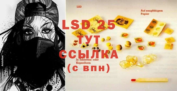 PSILOCYBIN Инсар